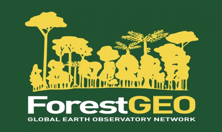 2022 ForestGEO Research Grants Program: Deadline remains Friday, 3 June 2022
