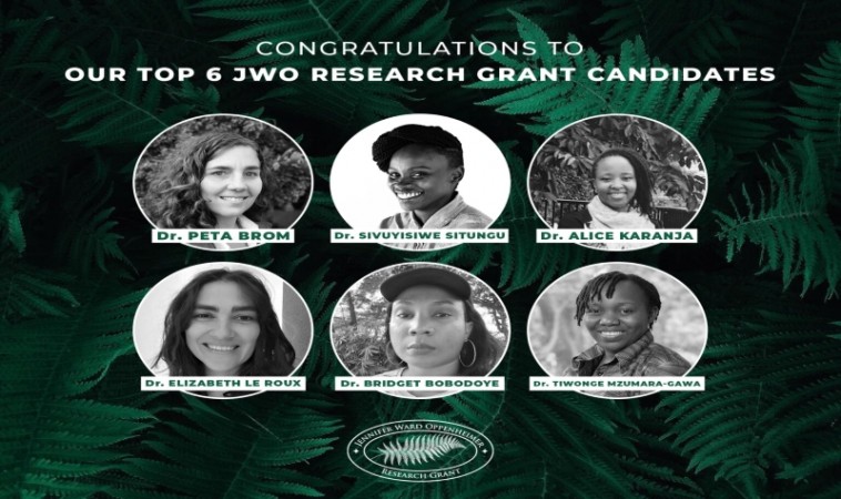 Applications Open for the 5th Annual Jennifer Ward Oppenheimer Research Grant for Early-Career African Scientists