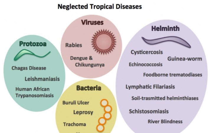 GLIDE, University of York and ECSA-HC Partner to Eliminate Neglected Tropical Diseases in Africa Through £1.2 million Initiative