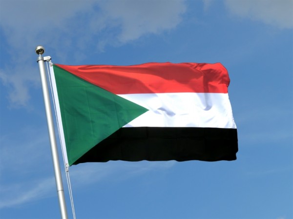 Association of African Universities Extends Support to Sudan's Higher Education Amidst Crisis