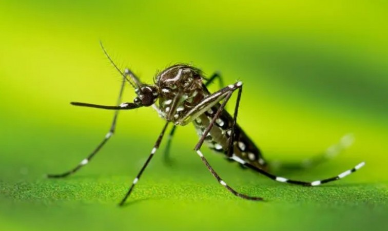 New Vaccine Project Aims to Boost Africa's Vaccine Manufacturing Capacity
