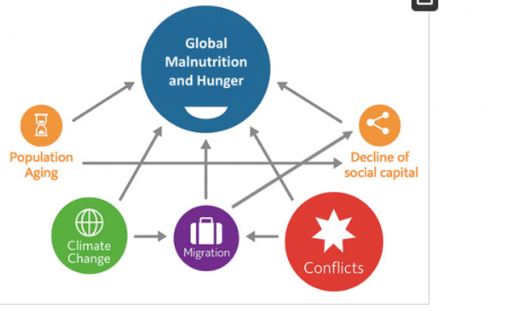 New Africa-Europe Research Project Targets Child Malnutrition With Locally Adapted Nutrition Solutions