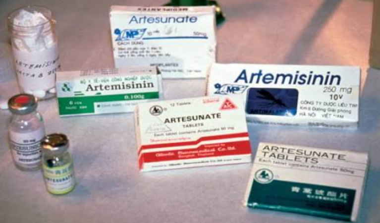New Africa-Europe Programme Targets Malaria Drug Resistance With New Treatments